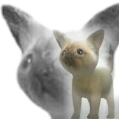 Empiezo mis clases de natación