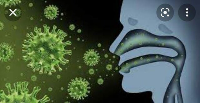 Descubrimiento de los microorganismos