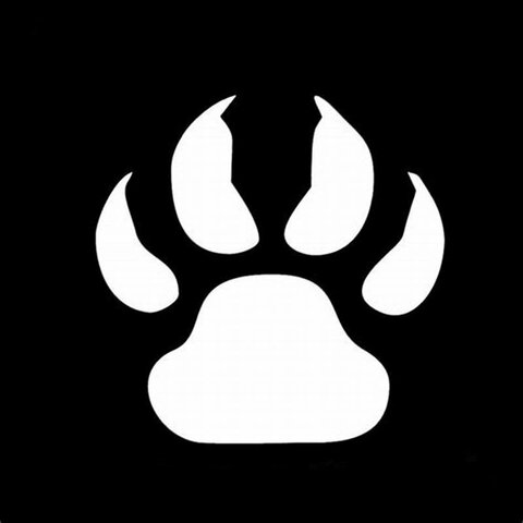 Me volví a un mas independiente