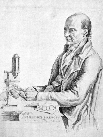 9. La teoría microbiana sin Pasteur y Koch.