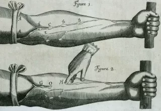 16th and 17th centuries