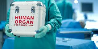 20th Century (continued)