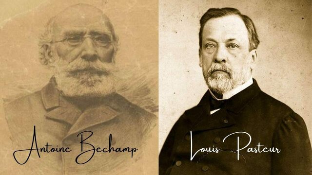 6 - LA TEORIA MICROBIANA SIN PASTEUR Y KOCH