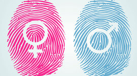 Timeline: Principales precursores del estudio de la sexualidad