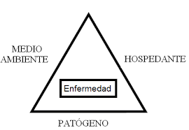 12. Galeno y el triangulo epidémico