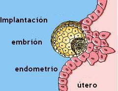 IMPLANTACION DEL CIGOTO EN LA MATRIS