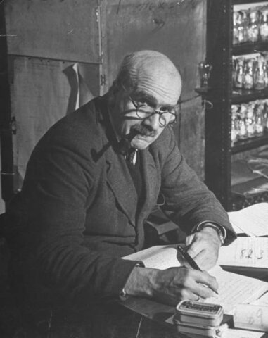 Dirigió la investigación de las matemáticas de la evolución, que resumió en The causes of evolution