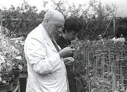 Convirtiéndose en Weldon Professor of Biometry