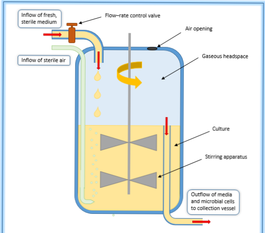 Biorreactores Fed-Batch