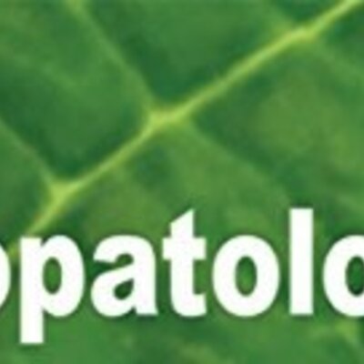 Timeline: Fitopatologia, Origen de las enfermedades-FrancyDuarte