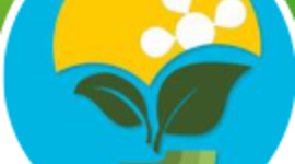 Timeline: Fase 1 - Origen de la enfermedad y generalidades de los fitopatógenos - Leidy Sanchez Rincon