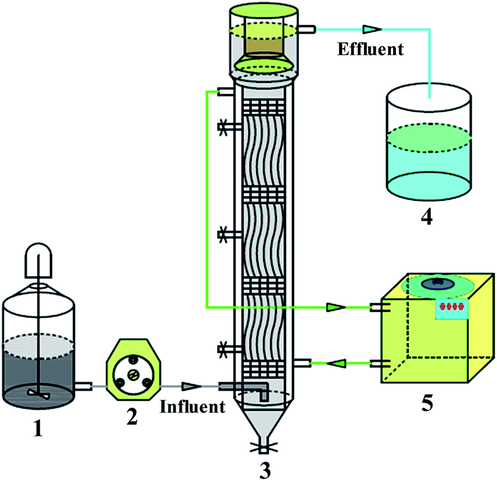 Desarrollo el Sistema AnMBR
