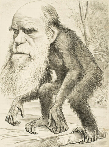 El origen de las especies