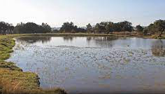 2a Reforma 27 Constitucional.