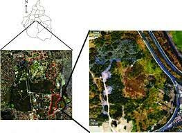 12 Reforma 27 Constitucional.