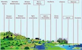 Evaluaciòn de los ecosìstemas del milenio