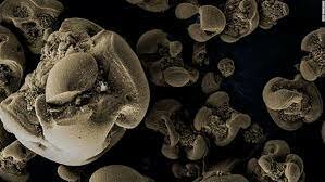 Bacterias consumidoras de metales