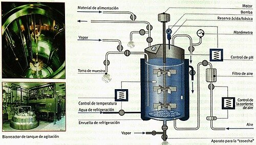 Biorreactor de tanque agitado