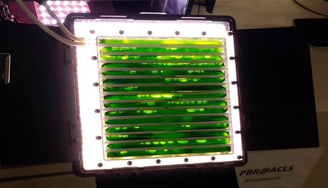 Biorreactores para Algas