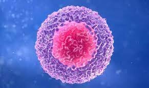 Biorreactores en la terapia de las células