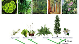 Timeline: TEORIAS DEL ORIGEN DE LA ENFERMEDAD DE LAS PLANTAS