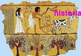 La enfermedad y la religión