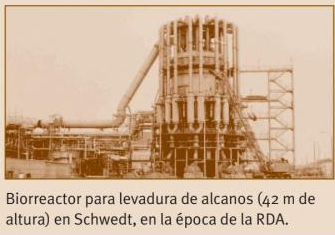 Primer biorreactor para fabricar de levadura