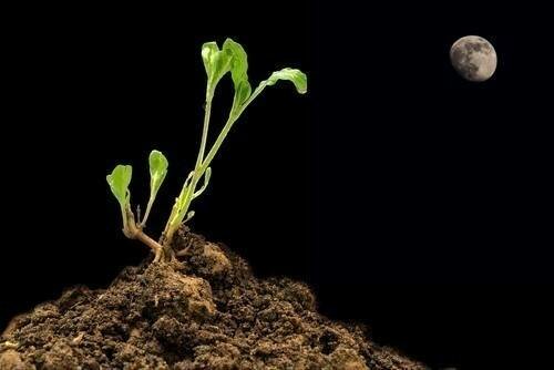 La teoría cósmica o sideral