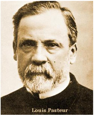 LA TEORÍA MICROBIANA SIN PASTEUR Y KOCH