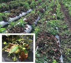 LA ENFERMEDAD Y LA RELIGION