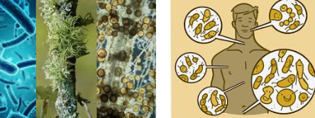 OTRAS NOCIONES DE CAUSAS