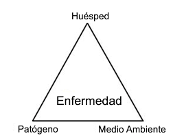 10. OTRAS NOCIONES DE CAUSAS.