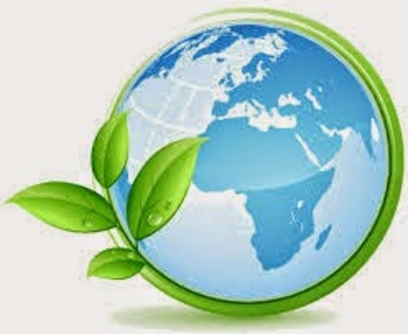 COMISIÓN MUNDIAL MEDIO AMBIENTE