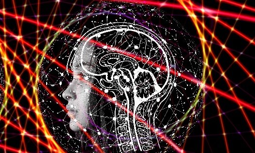 The Neuroscience Research Program