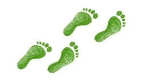 2006, empecé a caminar