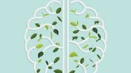 Timeline: HISTORIA DE LA PSICOLOGIA AMBIENTAL