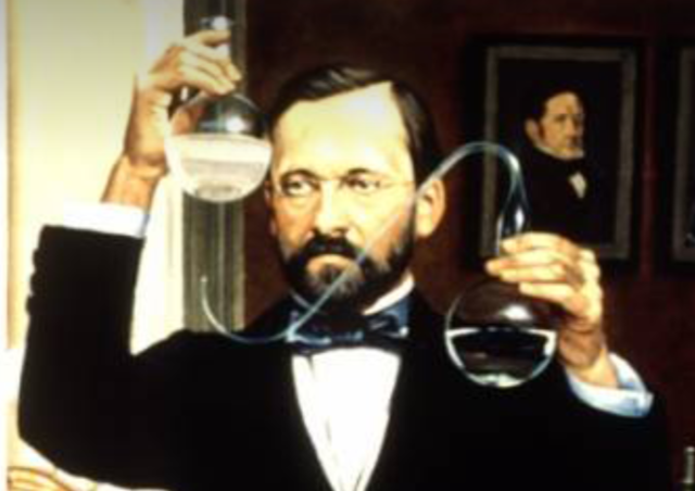 6. Teoría Microbiana