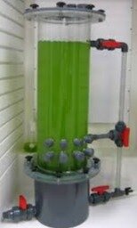 Biorreactor de algas y biocombustibles