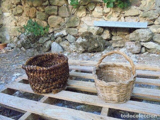 Origen del Baloncesto