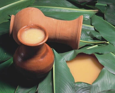 Fermentación del maíz