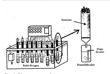 Biorreactor en Columna