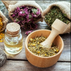 1200 BC –200 BC  Ancient Greeks