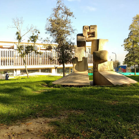 Separación de la Escuela de Psicoanálisis y Cultura de la U. Nacional