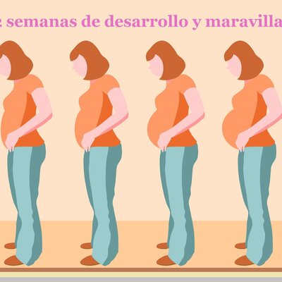 Timeline: Desarrollo prenatal, de 0 a 42 semanas de maravilla humana