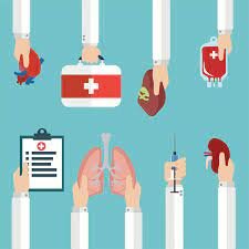 20th Century (Continued)