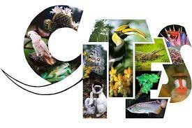 CITES formado por UICN