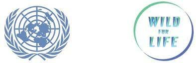 PNUMA lanza “Wild for Life”