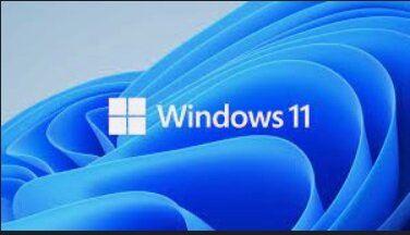 Windows 11
