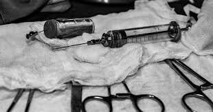 20th Century Vaccines