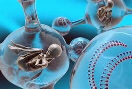 Primer bebé In Vitro (Bebé probeta).